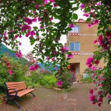 山花爛漫蝶兒飛,挖角壩上等你歸&hellip;