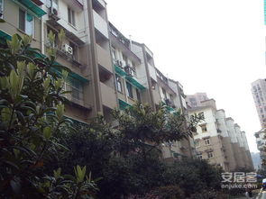 杭州甘王新村 實景圖 3 杭州安居客