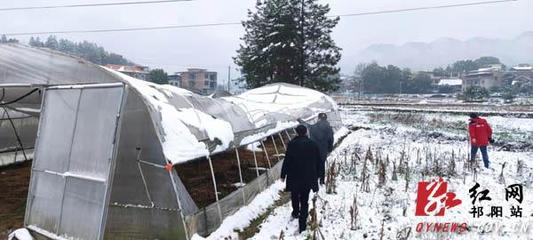 祁陽:20個農業生產工作組迅速開展災情核查和指導抗災救災