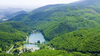 6月7 9日端午假期南京國立美術館舊址 總統府 梅園新村 莫干山徒步 宜興竹海 大縱湖3日游招募