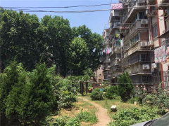 化纖新村圖片相冊,南京化纖新村實景圖 室外圖 小區配套圖