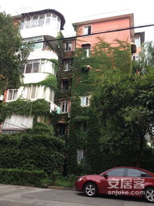 上海南方新村 實景圖 37 上海安居客