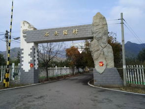 喬布斯 牛頓 夏娃,用三顆蘋果改變世界后,第四顆出現了