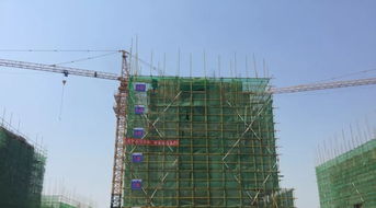 稻田這個(gè)村馬上要整村搬遷了 快看是哪個(gè)村