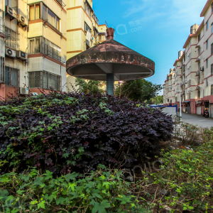 2021 02 24 東港新村地址,東港新村電話,東港新村圖片 360地圖