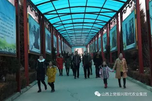 三八婦女節(jié) 佳麗10元暢游山西振興新村五大景點