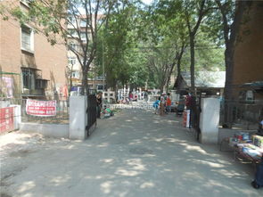 七里新村租房指南 宜居之選與生活體驗