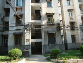 鋼花新村112街坊小區綜合解析 二手房市場與區域實況