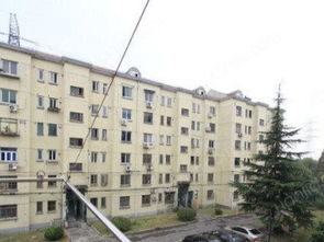 顓橋金塔新村精品兩房 誠(chéng)心出租，拎包入住的理想之選